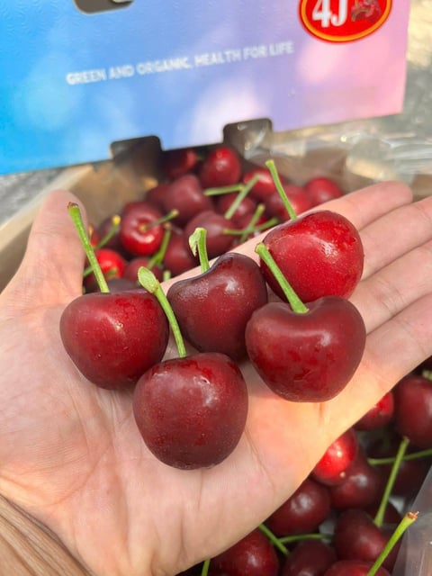 Cherry Nội Địa Trung 3J