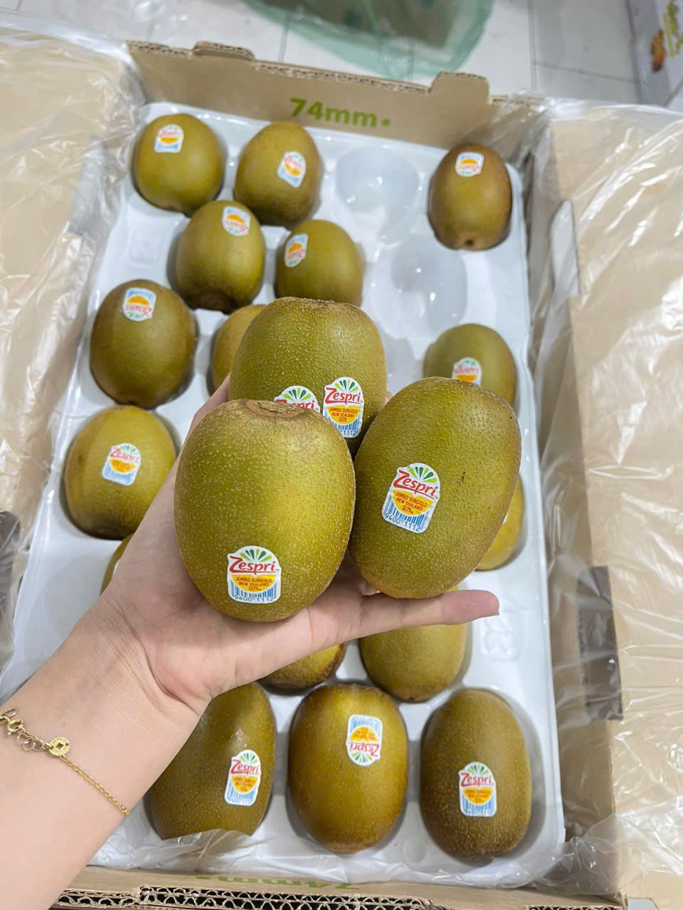 Kiwi Vàng New Zealand 