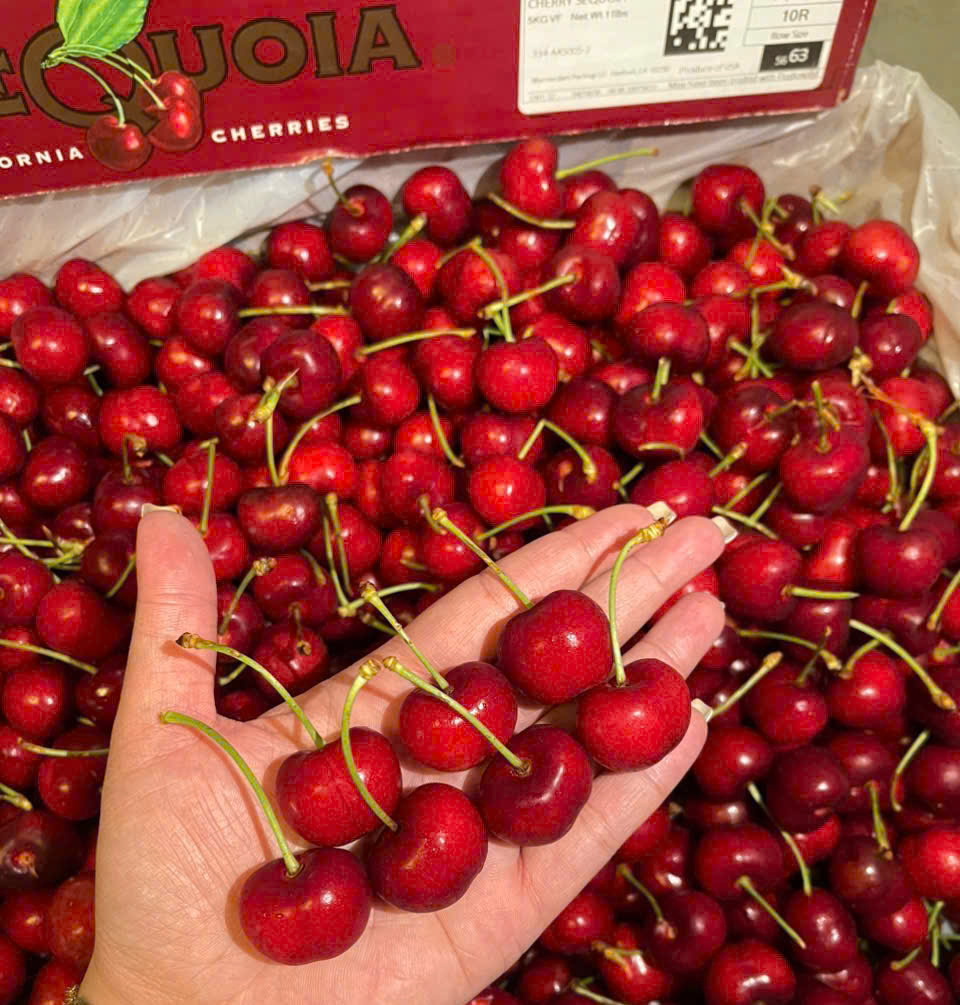 Cherry Mỹ SEQUOIA Size 10