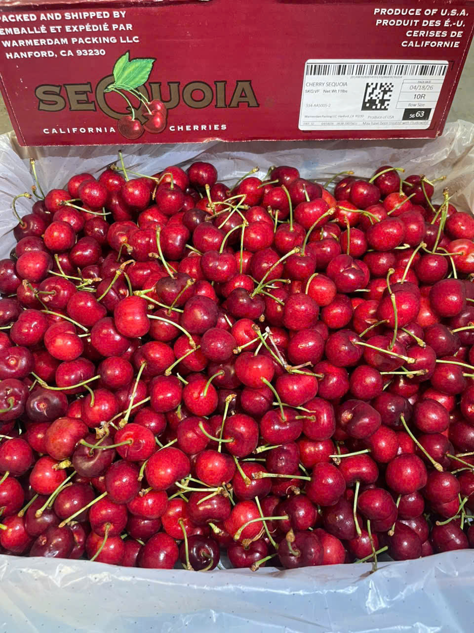 Cherry Mỹ SEQUOIA Size 10
