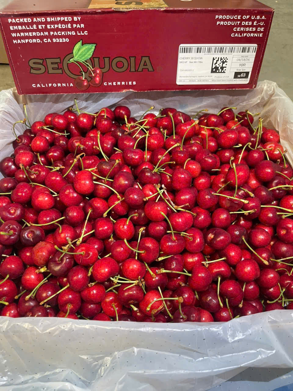 Cherry Mỹ SEQUOIA Size 10