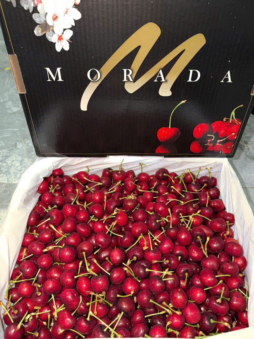 Cherry Mỹ MORADA Size 9.5