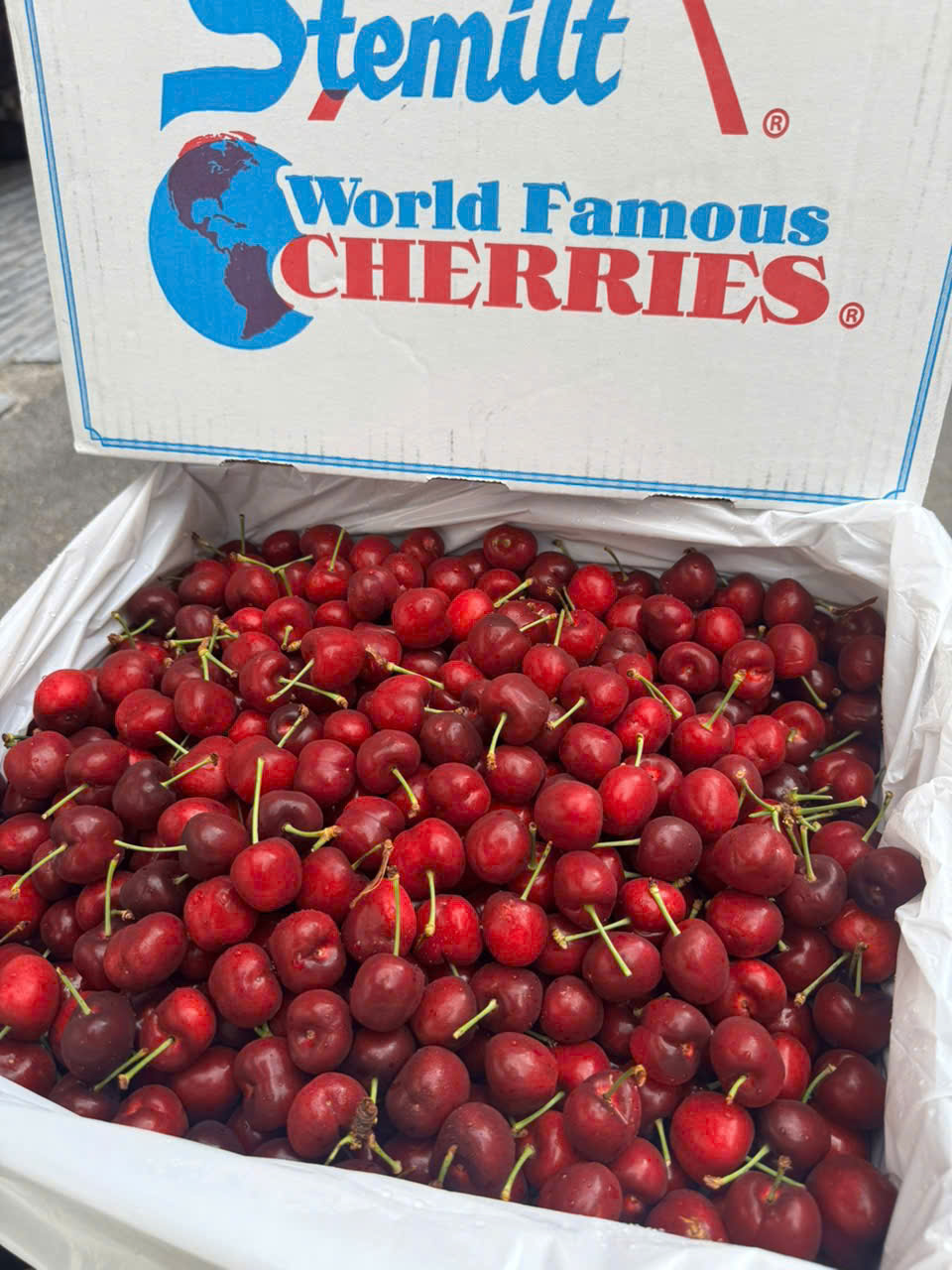Cherry Mỹ Stemilt size 10