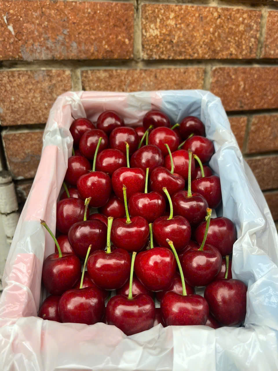 Cherry Nội Địa Trung 5J Siêu To/1KG