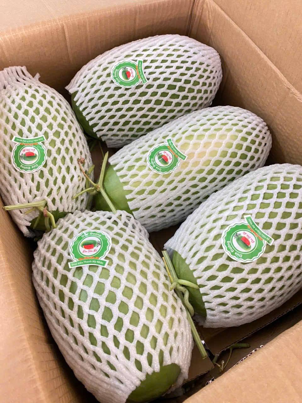 Dưa Hấu Đường