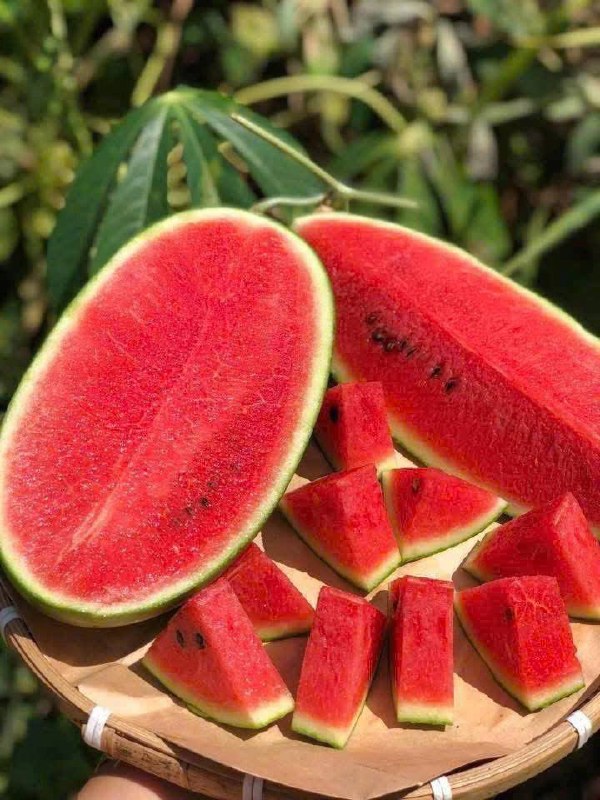 Dưa Hấu Đường