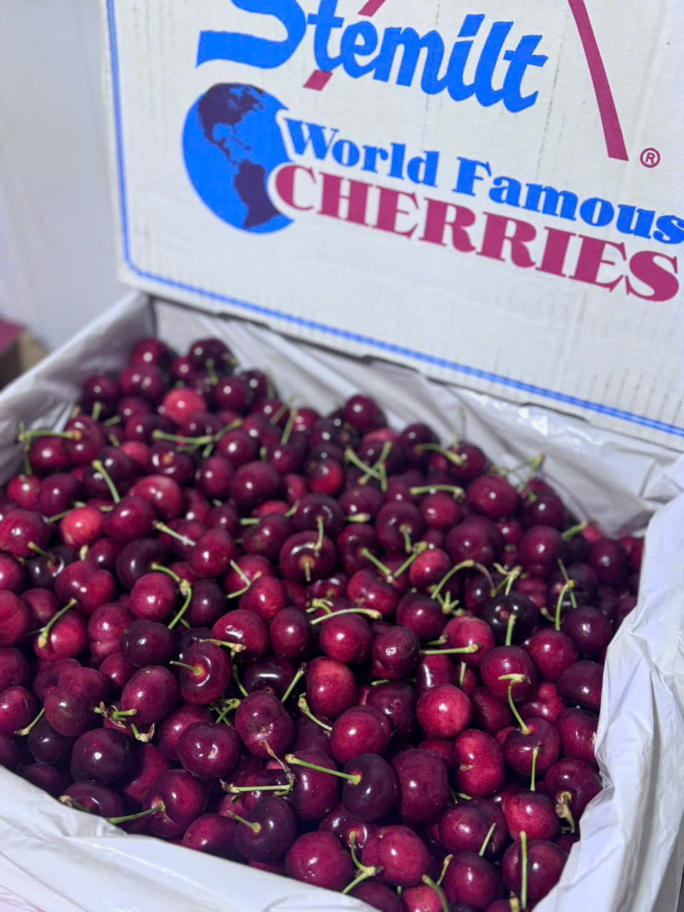 Cherry Mỹ Stemilt size 10