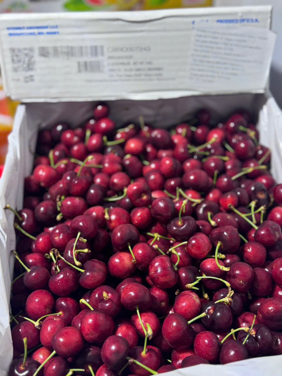 Cherry Mỹ Stemilt size 10