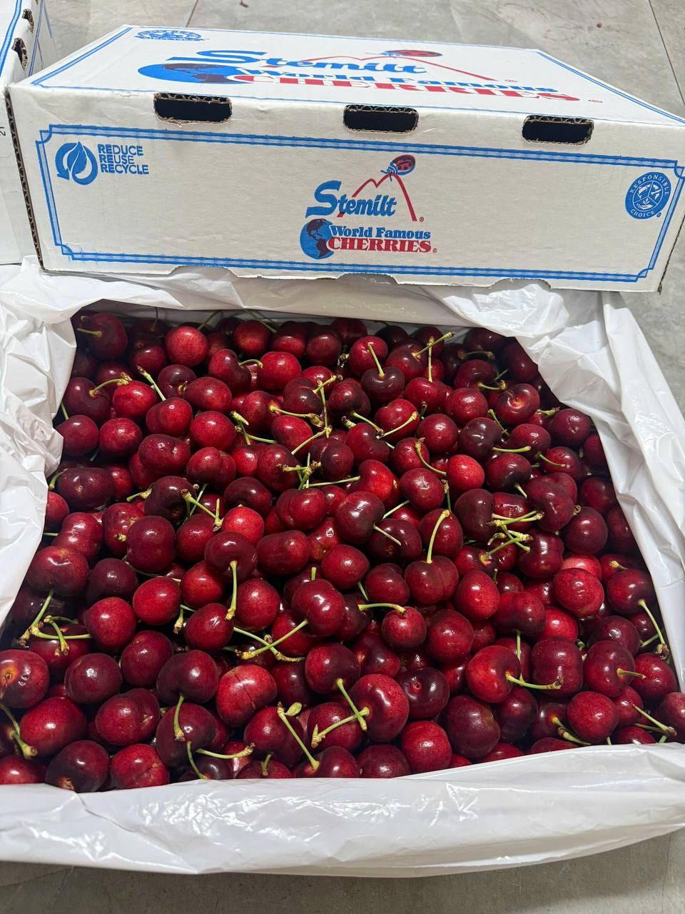 Cherry Mỹ Stemilt size 9