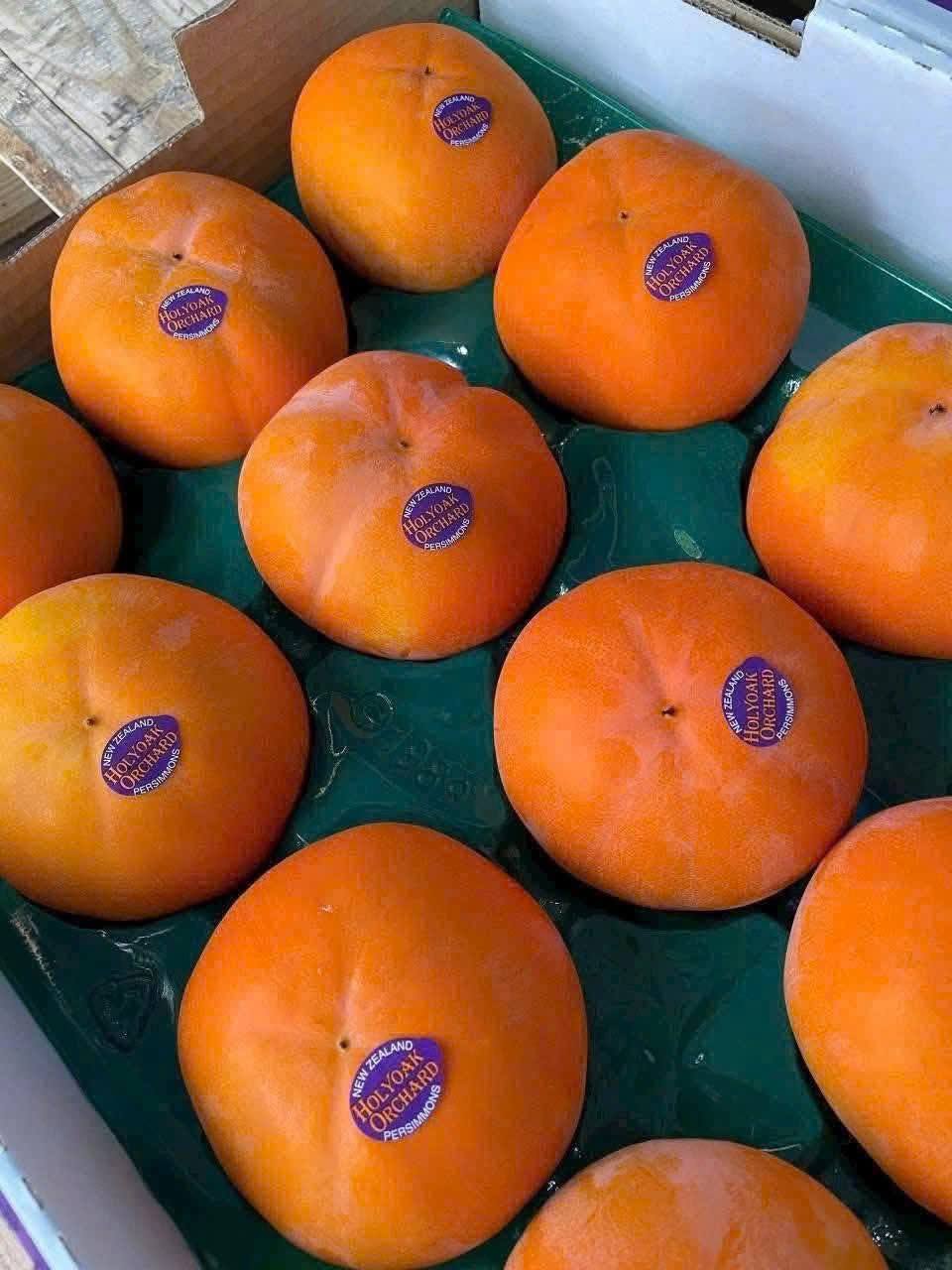 Hồng Giòn New Zealand