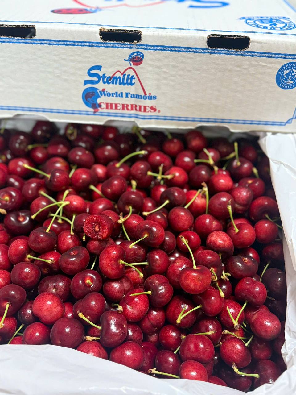 Cherry Mỹ Stemilt size 9