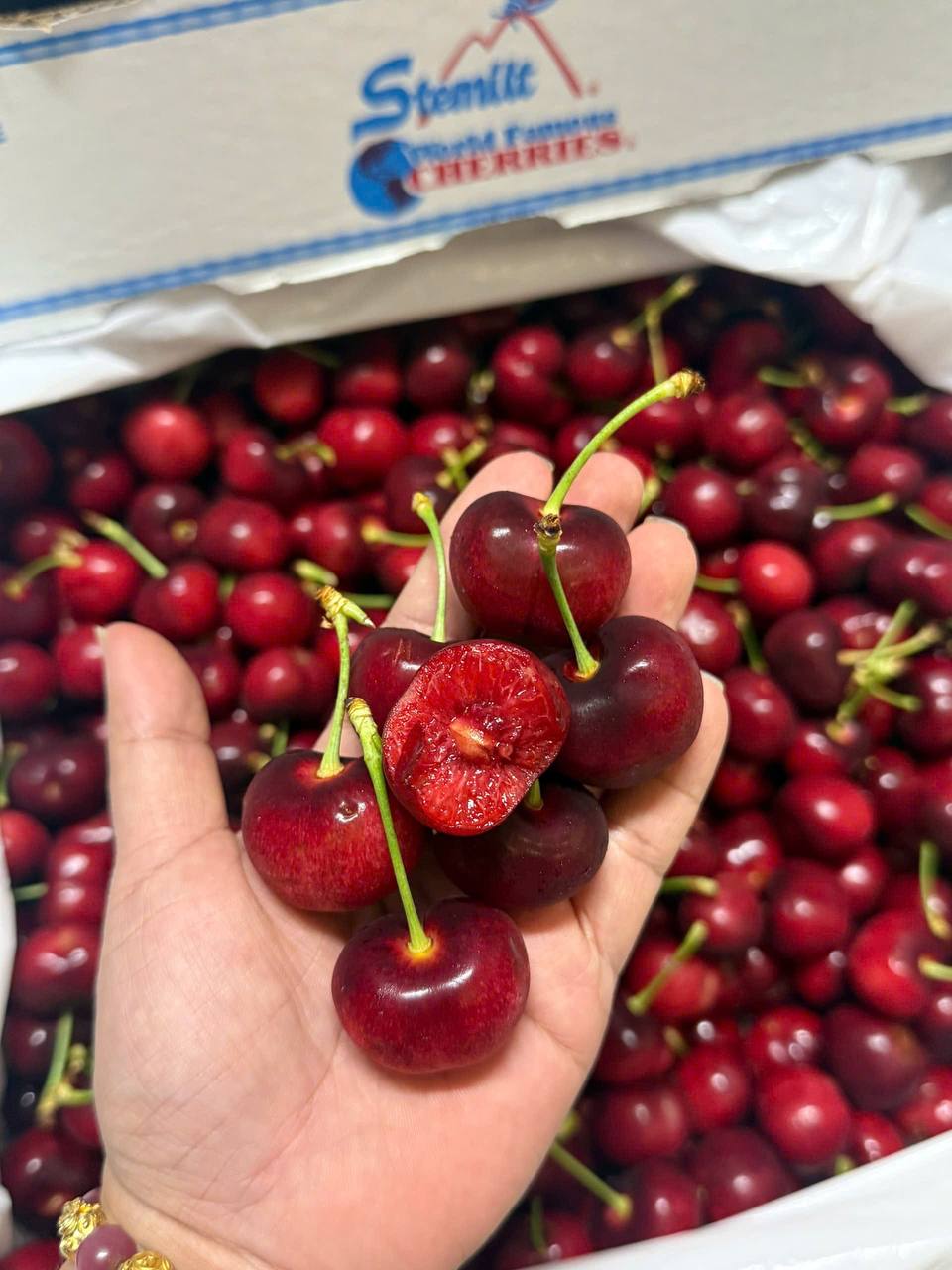 Cherry Mỹ Stemilt size 9