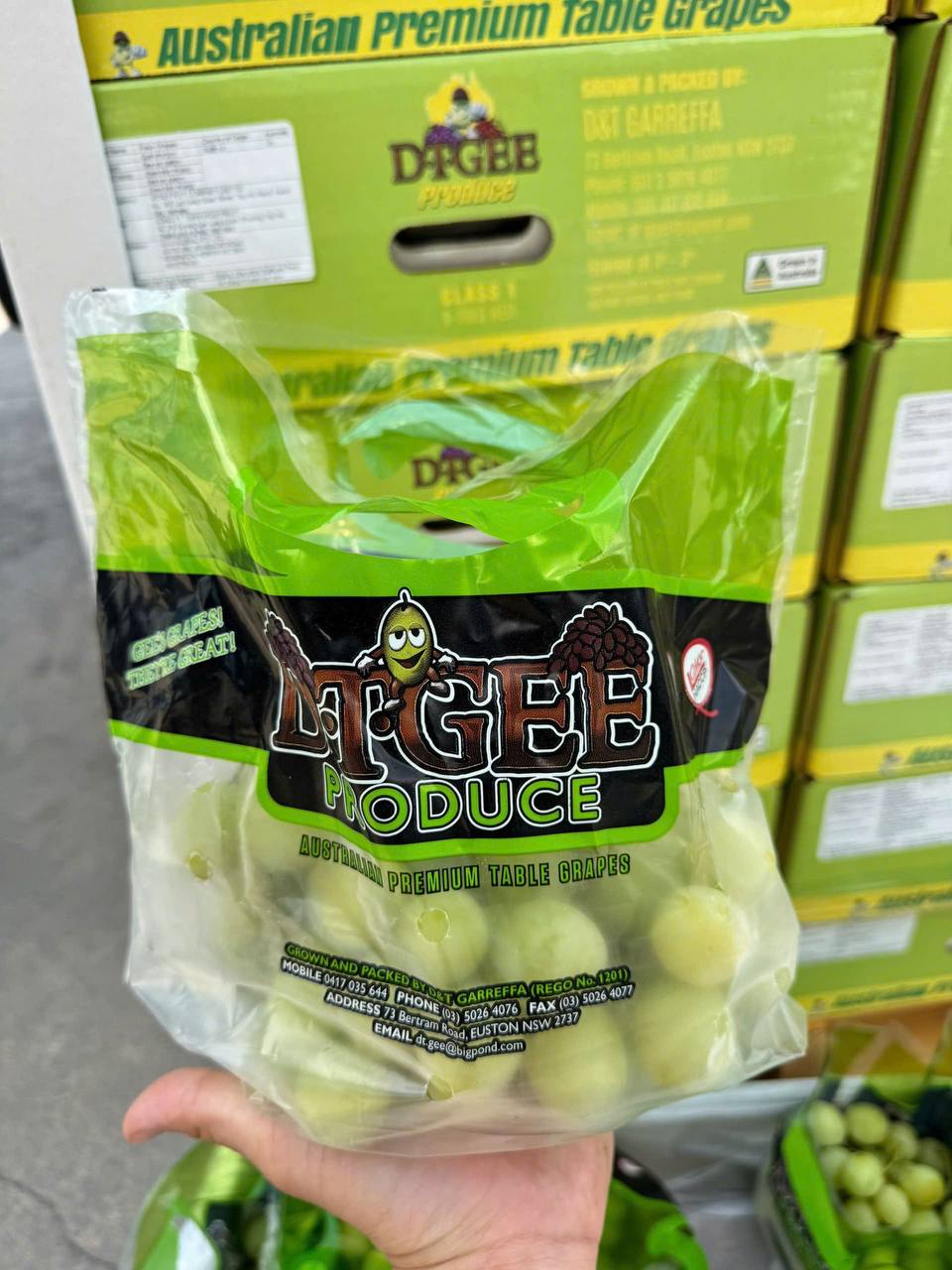 Nho Xanh Úc DTGEE Autumn Crisp 