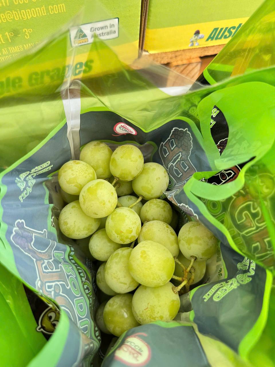 Nho Xanh Úc DTGEE Autumn Crisp 