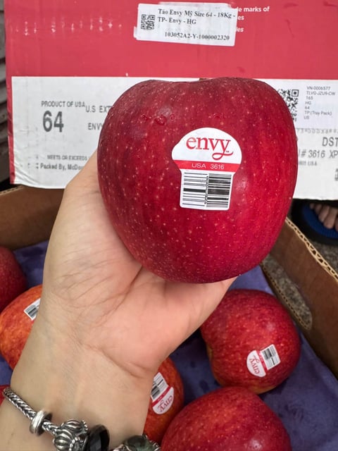 Táo Envy Size 64 Nguyên Thùng 18kg