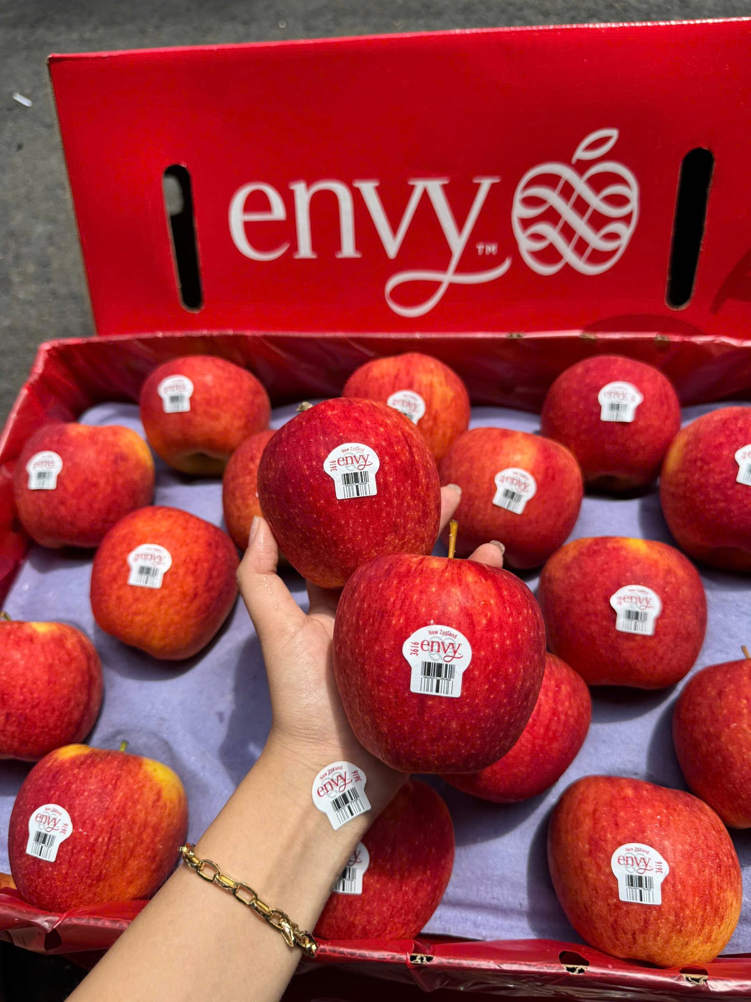 Táo Envy Size 70 Nguyên thùng 18kg