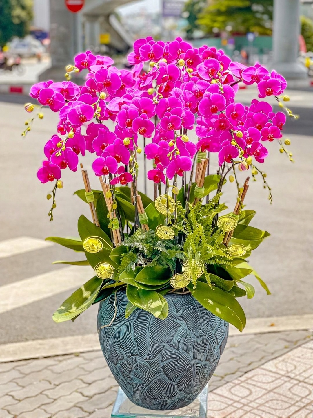 Chậu Lan Hồ Điệp KG233