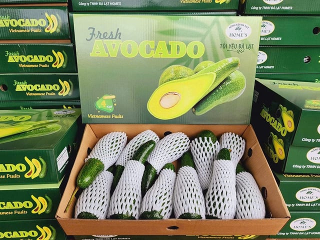 Bơ 034 Xuất Khẩu Nguyên Thùng 4kg