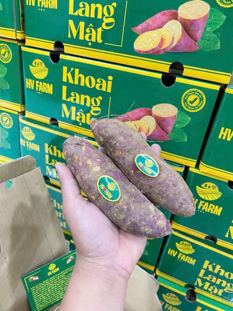 Khoai Lang Mật XK Nguyên Thùng 3Kg