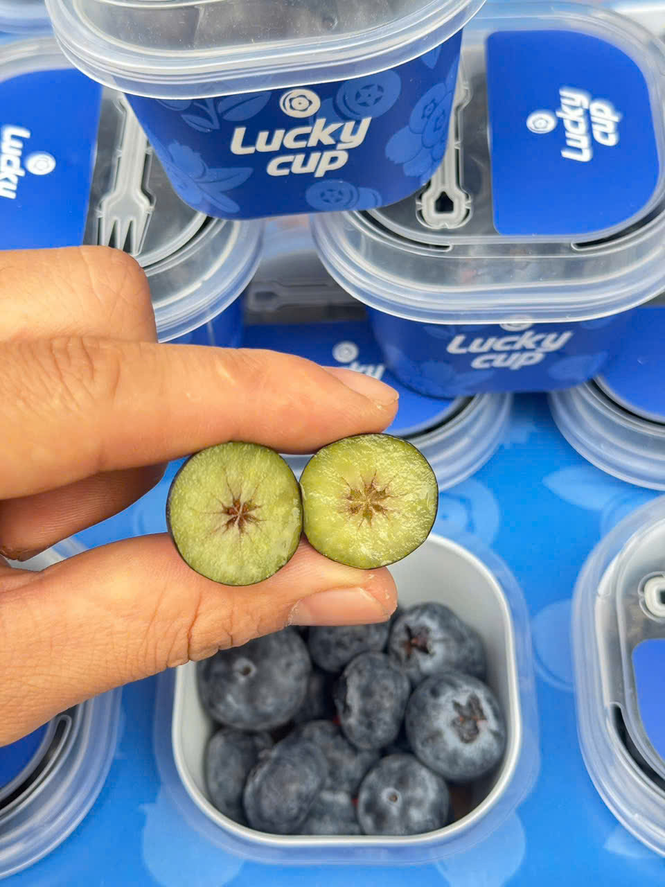 Việt Quất Lucky Cup