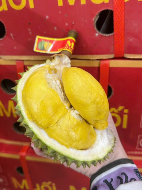 Sầu Riêng Thái Lan Fumani ( Muối Muối )