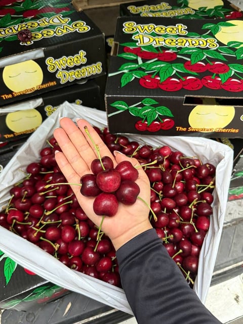 Cherry Mỹ Sweet Dreams Size 9.5 Vip