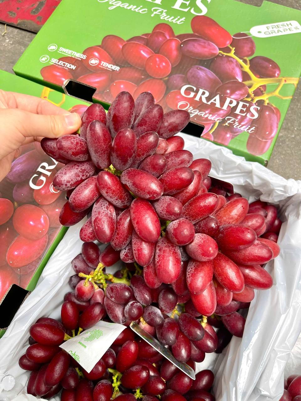 Nho Đỏ Hoàng Hậu