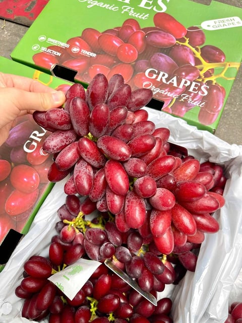 Nho Đỏ Hoàng Hậu