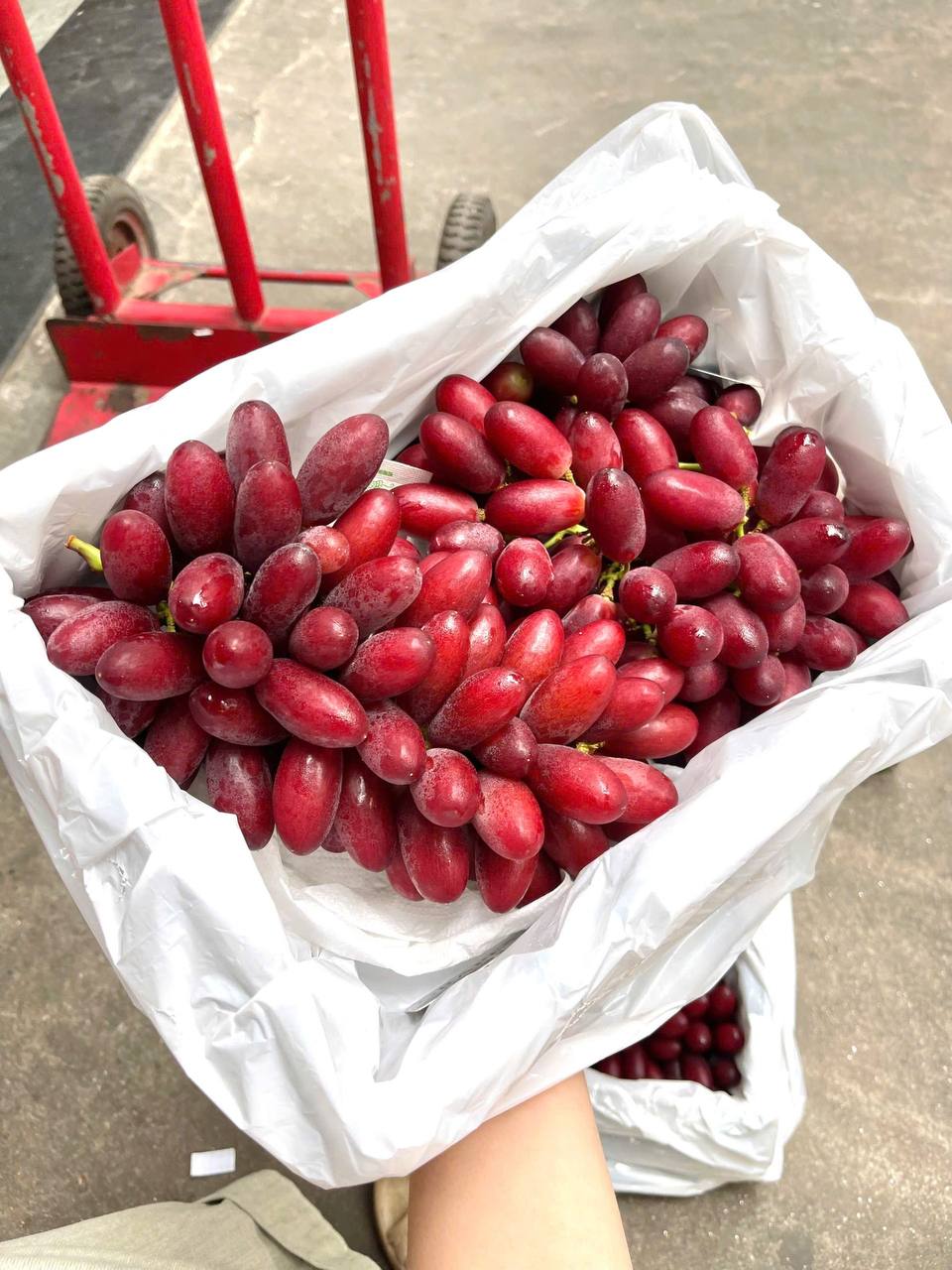 Nho Đỏ Hoàng Hậu