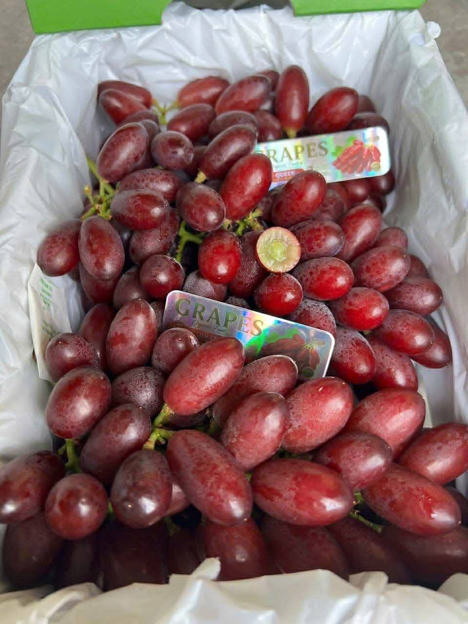 Nho Đỏ Hoàng Hậu