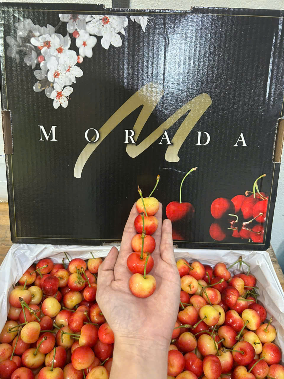 Cherry Vàng Mỹ Morada
