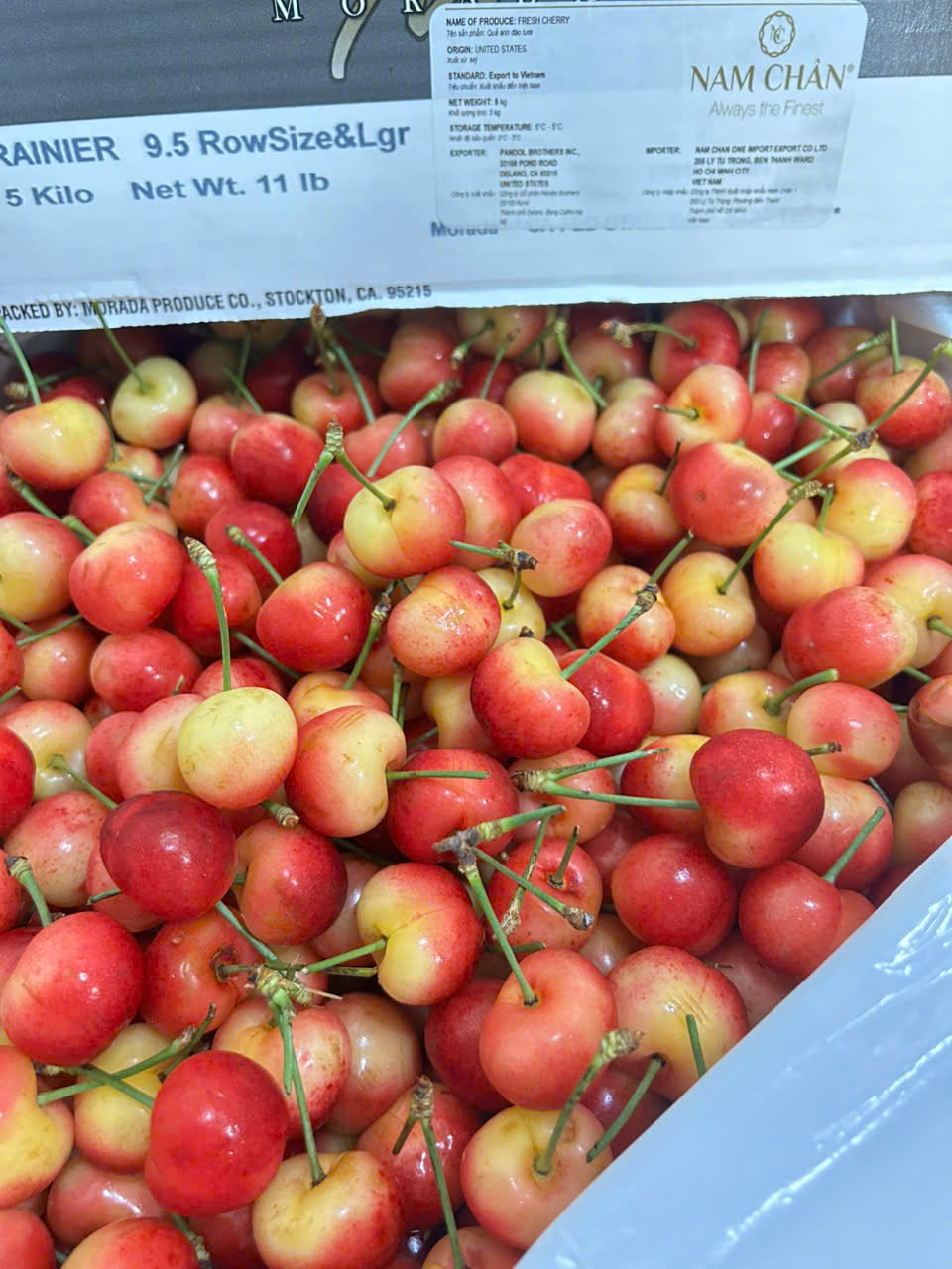 Cherry Vàng Mỹ Morada