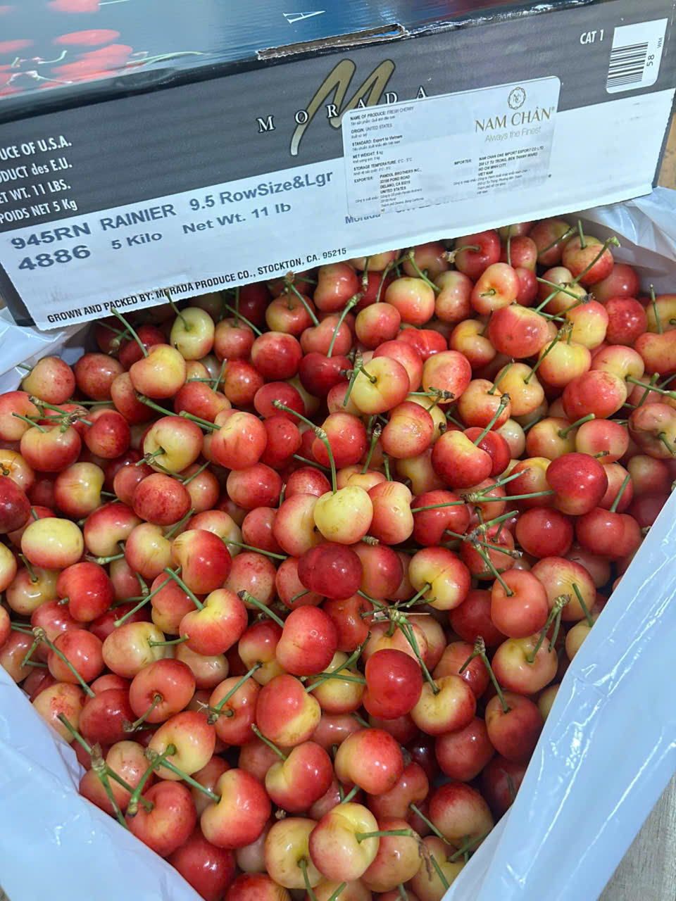 Cherry Vàng Mỹ Morada