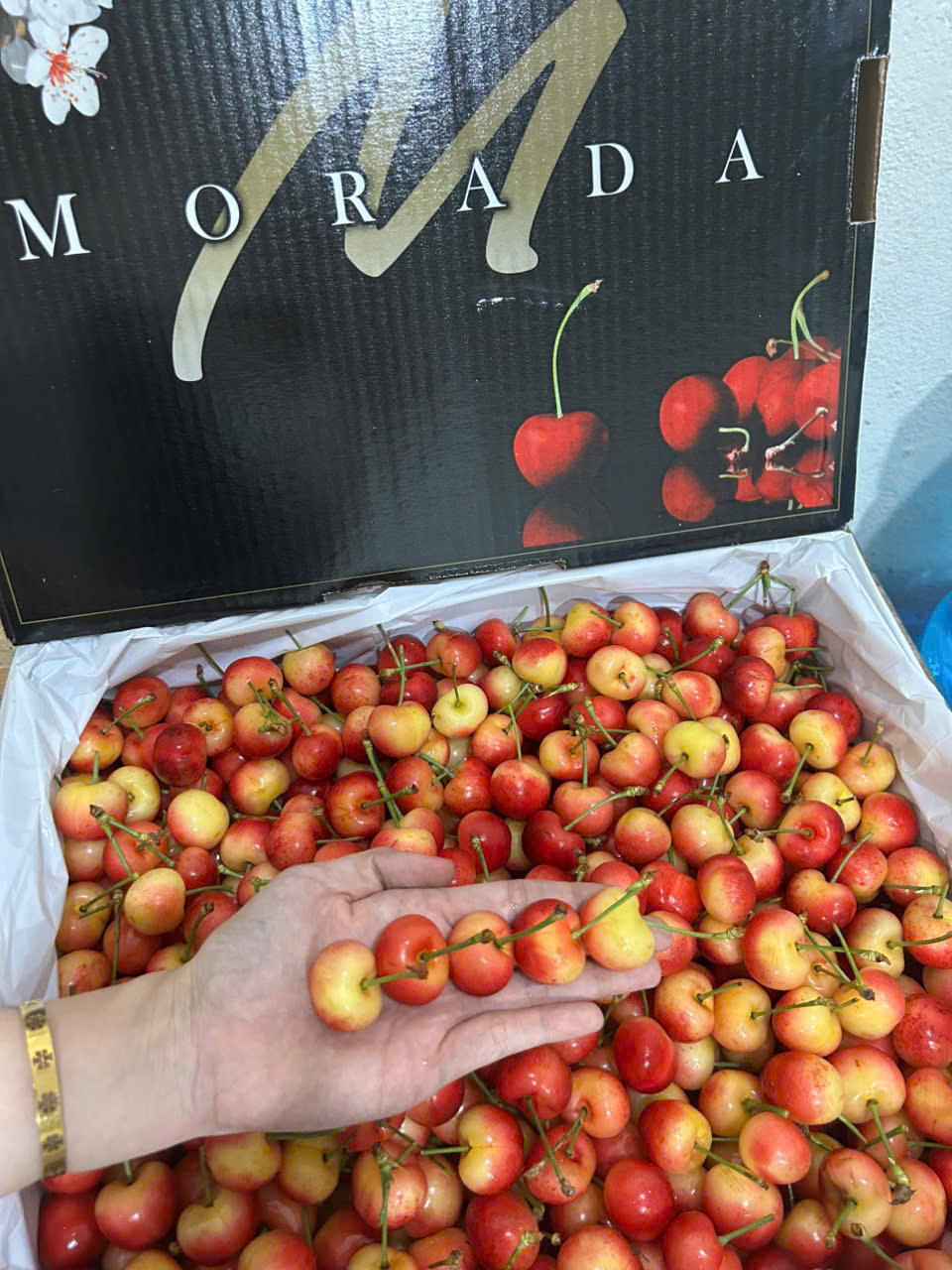 Cherry Vàng Mỹ Morada