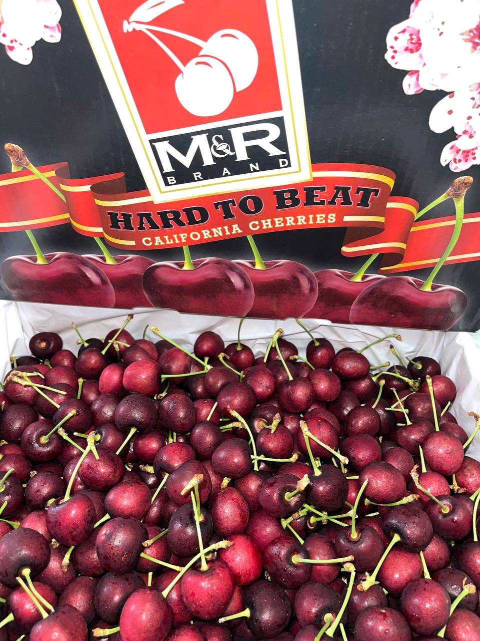 Cherry Mỹ M&R Size 9.5
