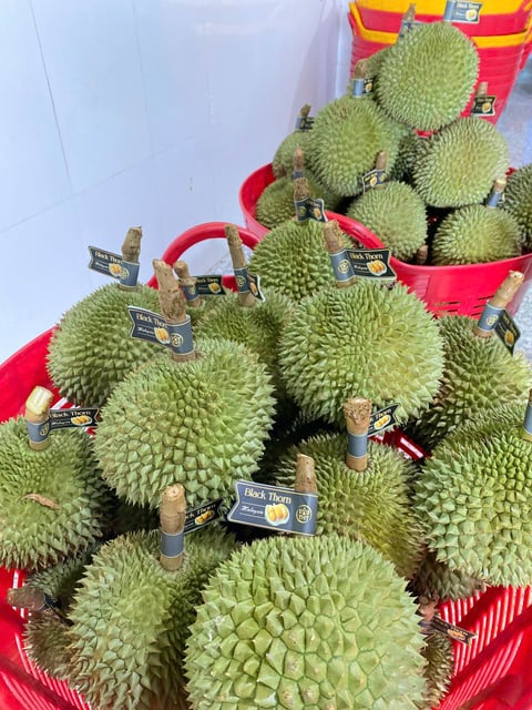 Sầu Riêng Black Thorn ( 200k/kg Trái )
