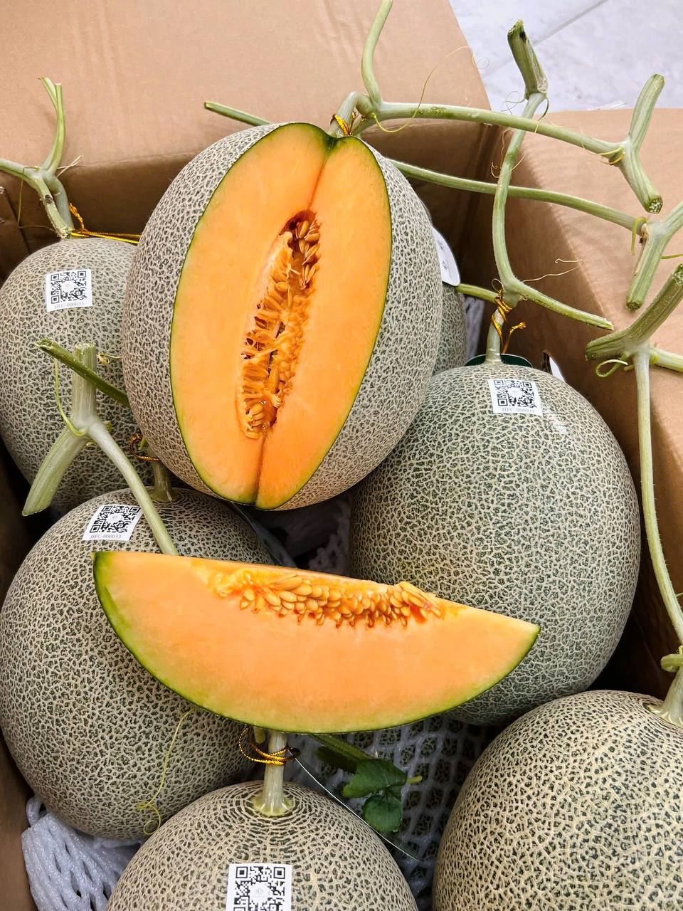 Dưa Lưới Ruột Vàng Chapor