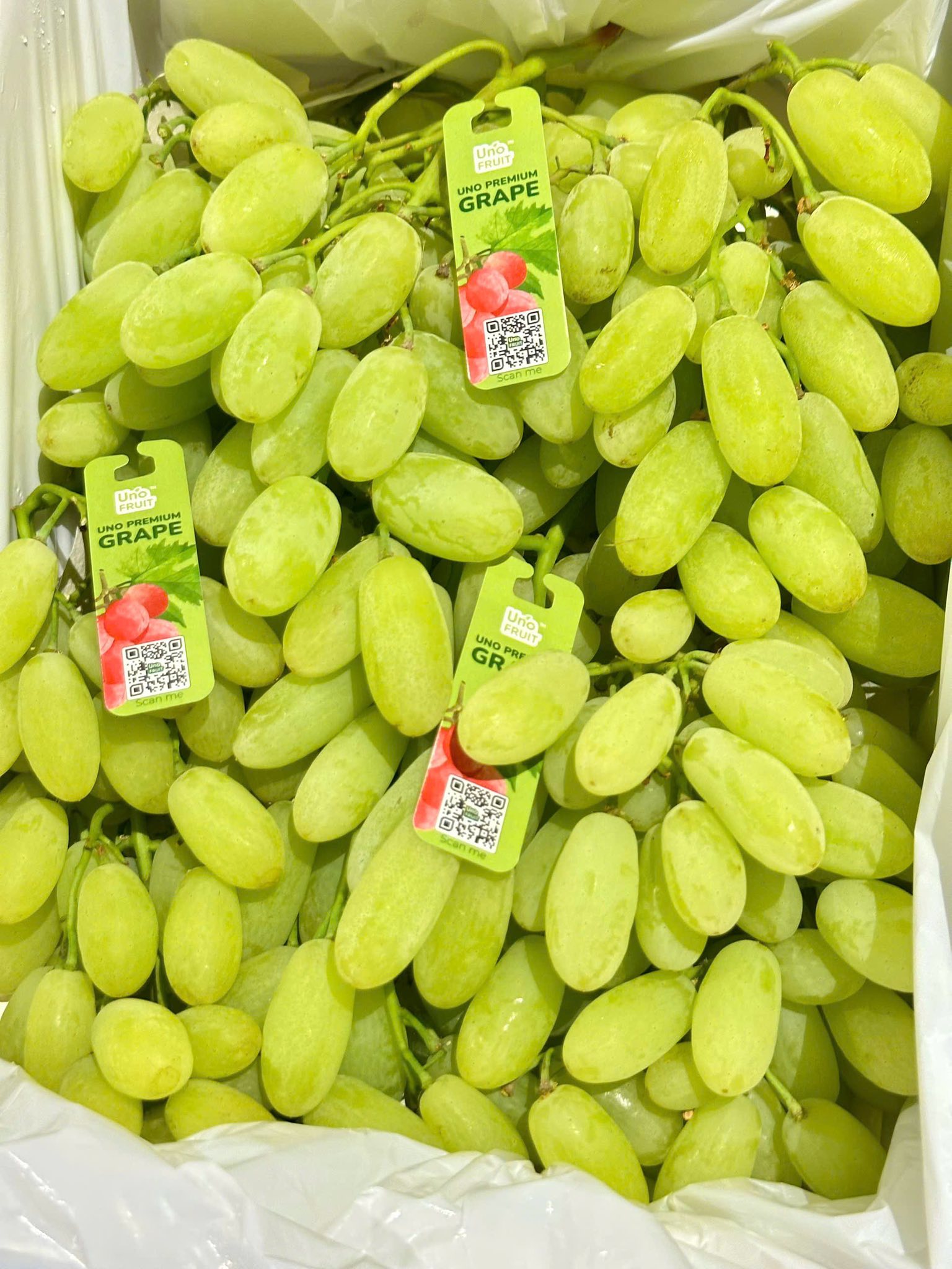Nho Xanh Mật Ong UNO