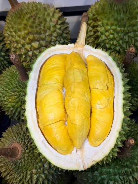 Sầu Riêng Musaking ( 220k/kg trái )